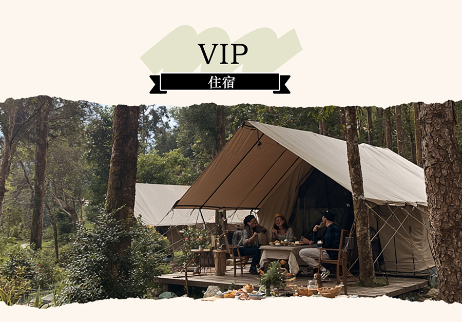 VIP 住宿方案